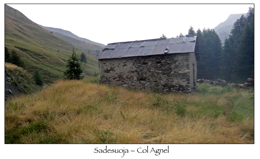 Agnel-vaja