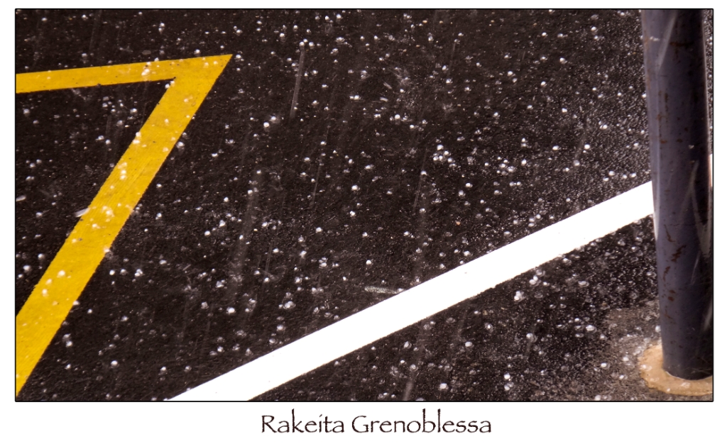 rakeita